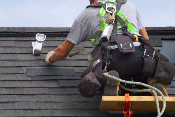 Best Roof Gutter Cleaning  in Collegedale, TN