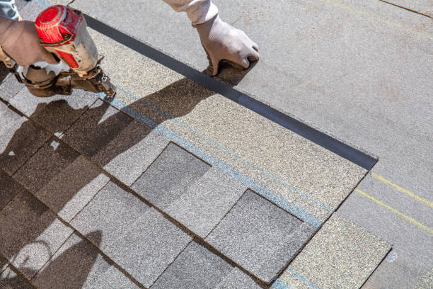 Best Storm Damage Roof Repair  in Collegedale, TN